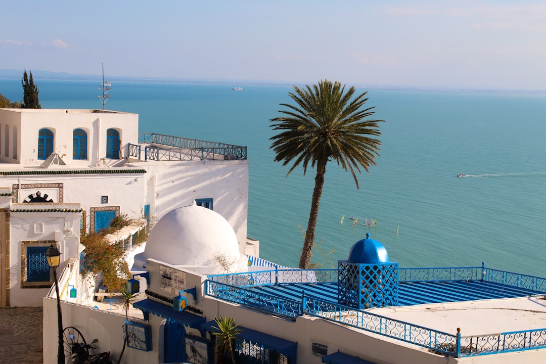 Sidi Bou Saïd