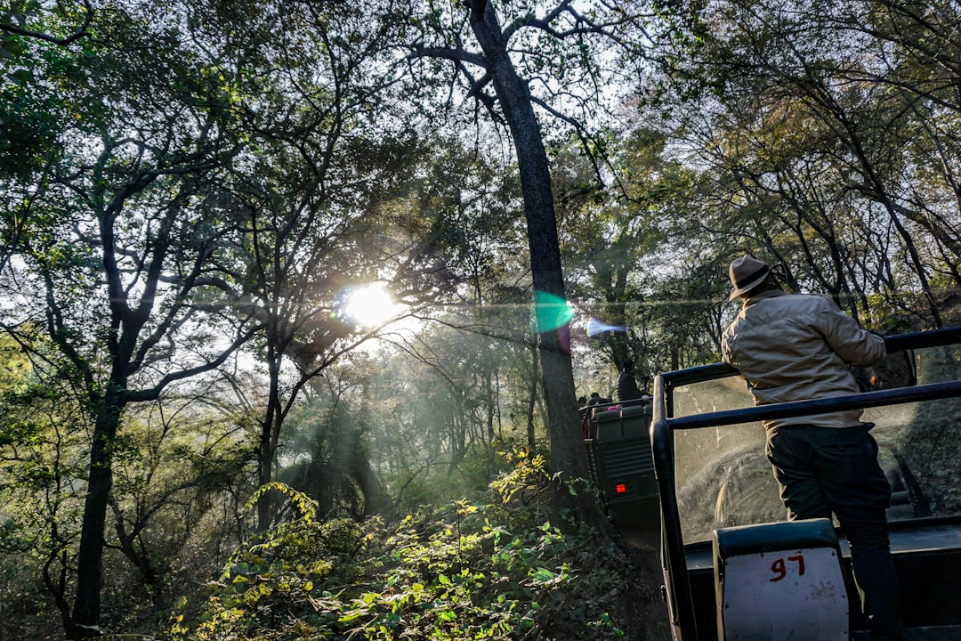 Ranthambore National Park