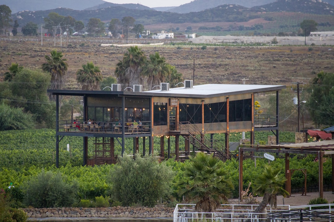 Valle de Guadalupe