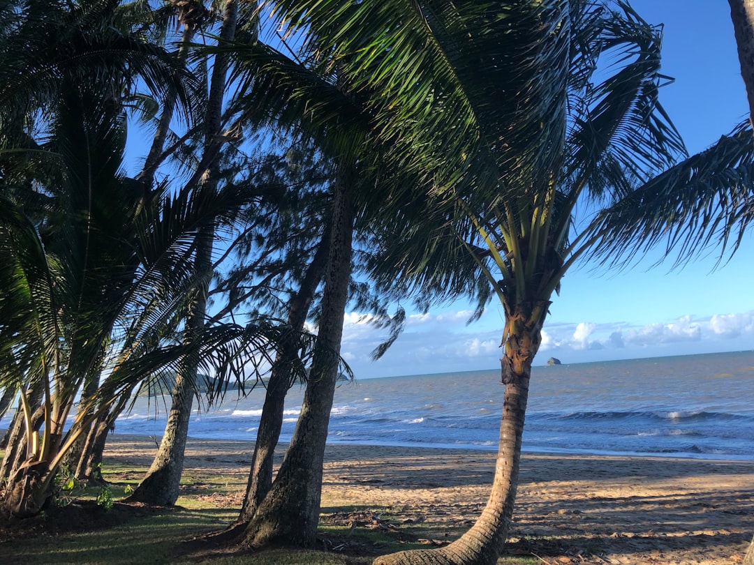 Palm Cove