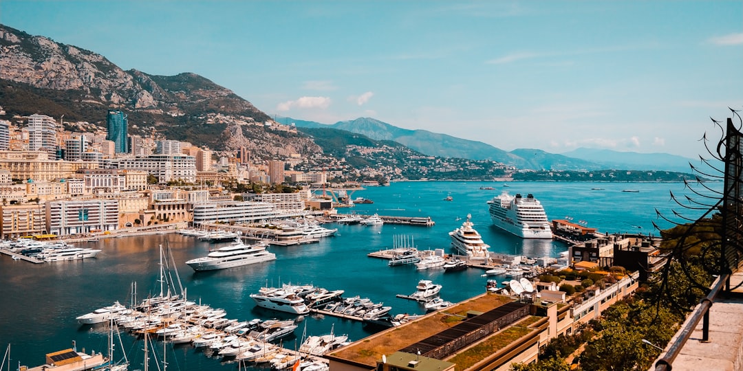 Monte Carlo