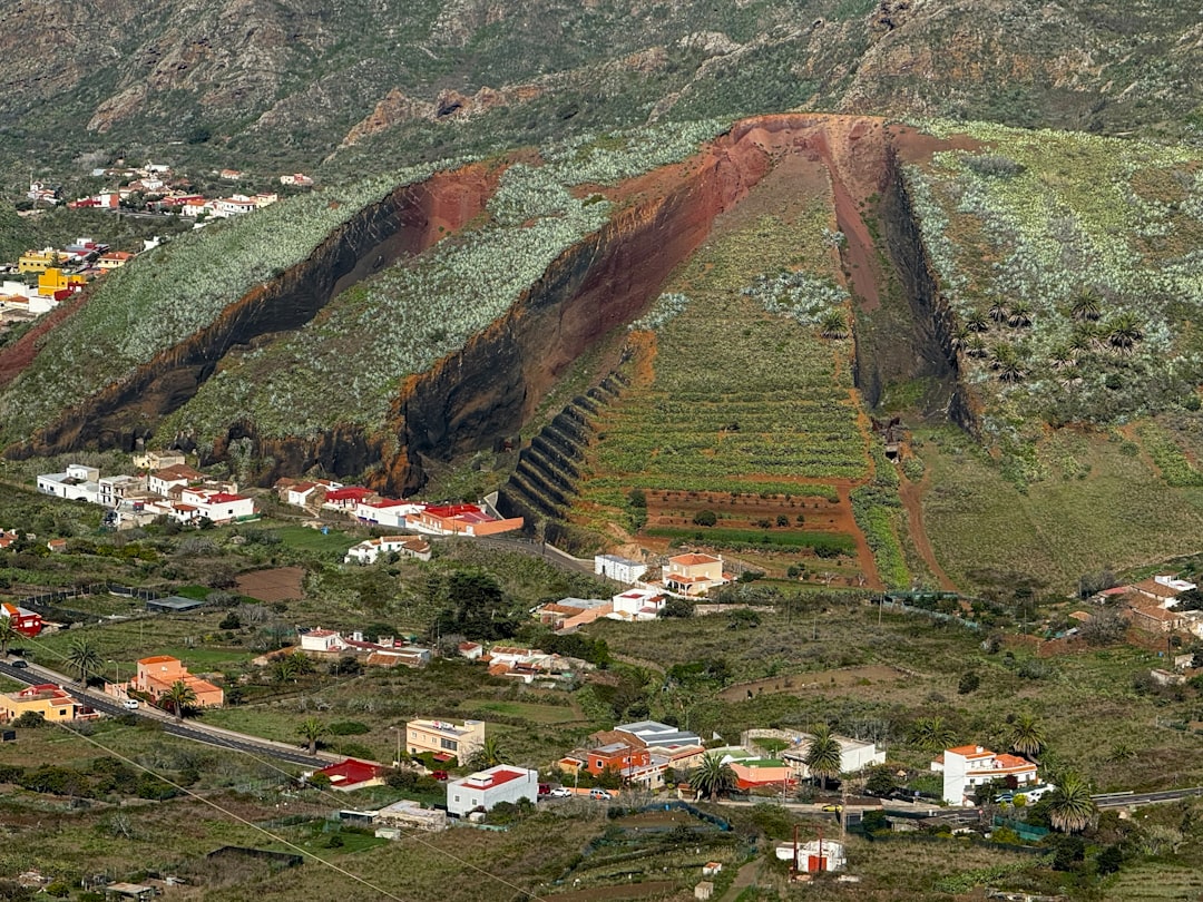Buenavista del Norte