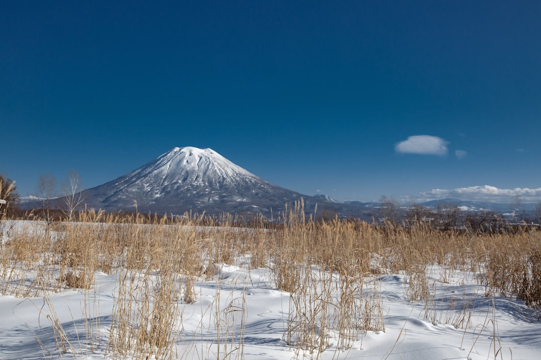 Niseko