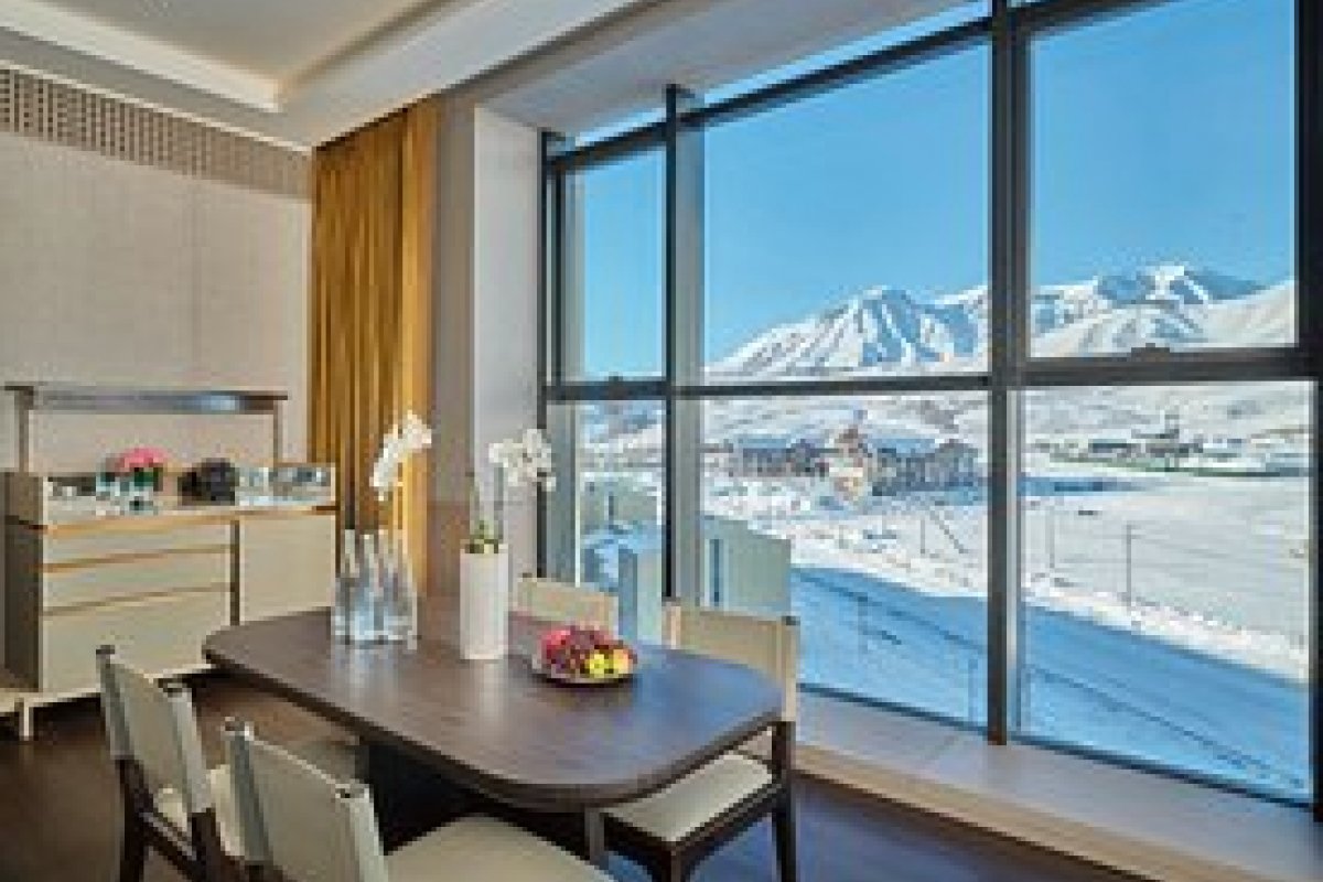 Conrad Altay Hemu view 5