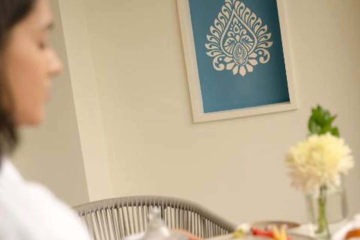 Fairmont Udaipur Palace view 6