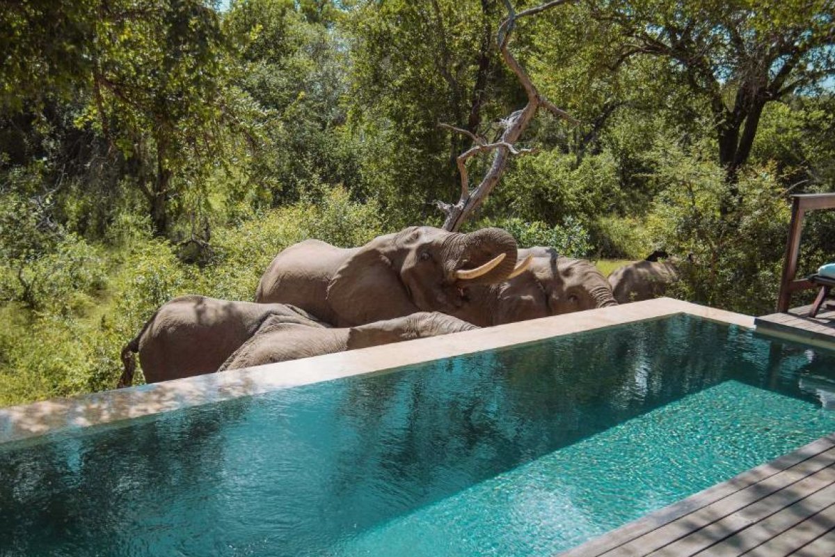 Royal Malewane view 4