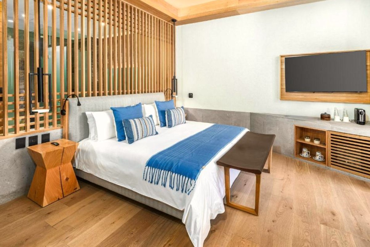 Cleviá, San Miguel de Allende, Autograph Collection view 2