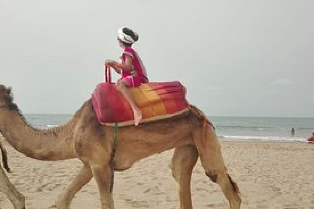 Rosewood Blue Palace view 4