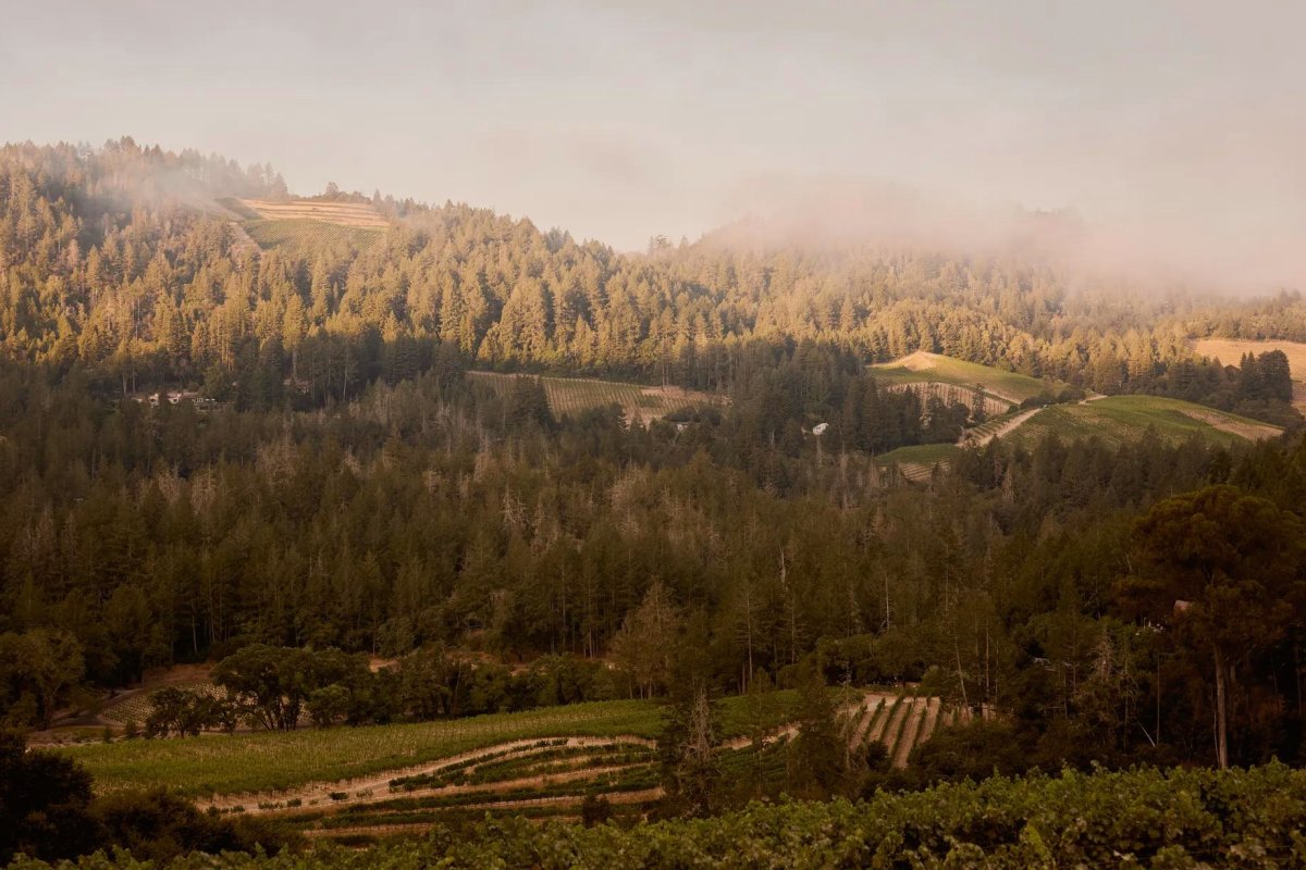 Rosewood Calistoga view 4
